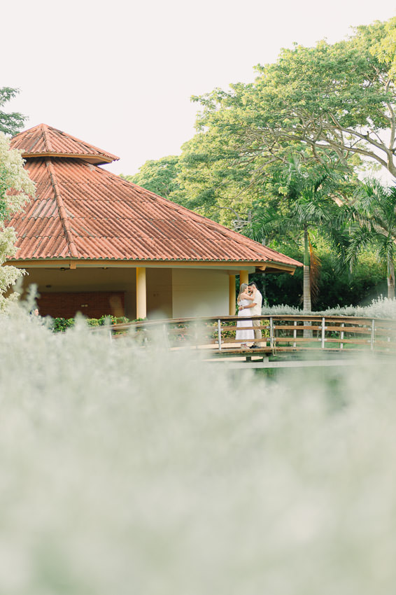 Descripción de la imagen 12